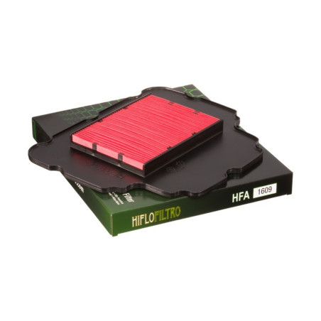 Filtro de aire Hiflo HFA1609