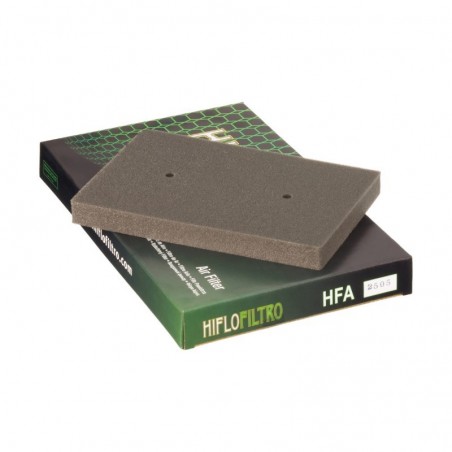 Filtro de aire Hiflo HFA2505