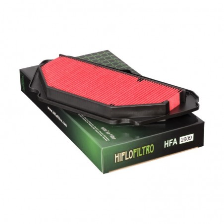 Filtro de aire Hiflo HFA2609