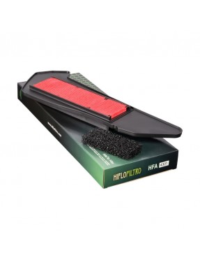 Filtro de aire Hiflo HFA4301
