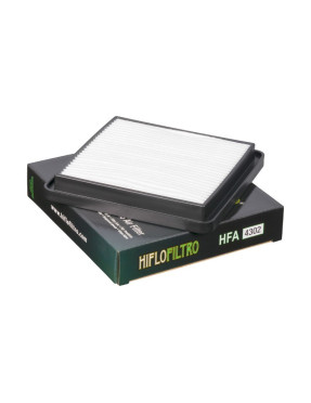 Filtro de aire Hiflo HFA4302