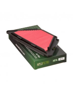 Filtro de aire Hiflo HFA4615