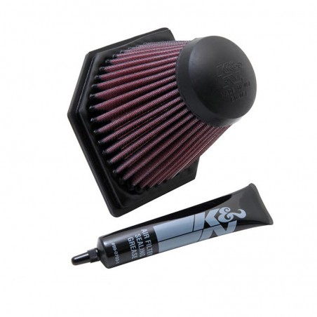 Filtro de aire K&N BM-1205