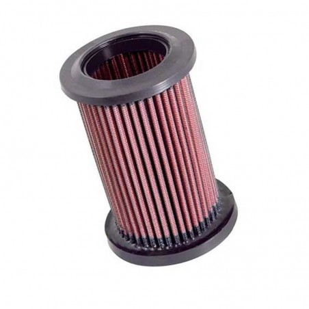 Filtro de aire K&N DU-1006