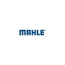 Mahle